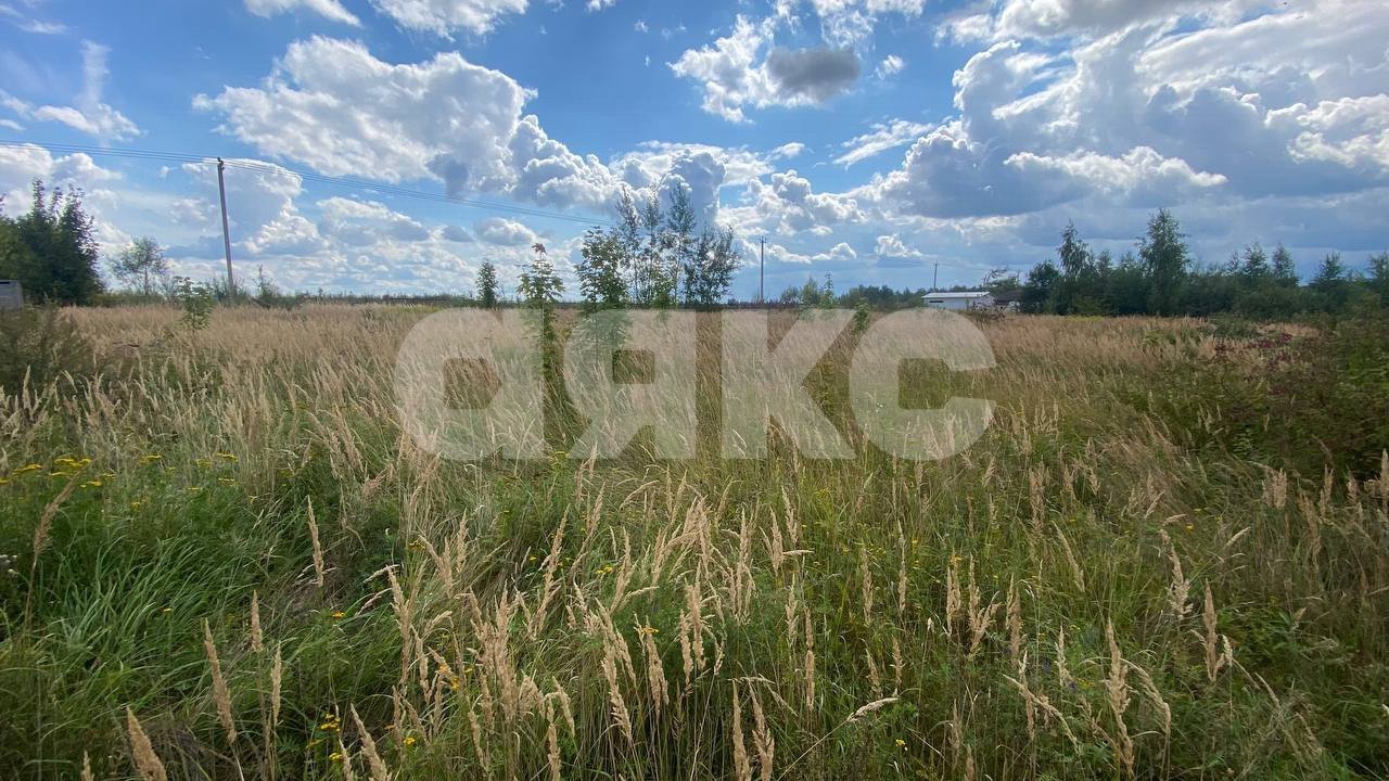 Фото №15: Участок садоводство 13 сот. - ТСН Чаплыгино, 98