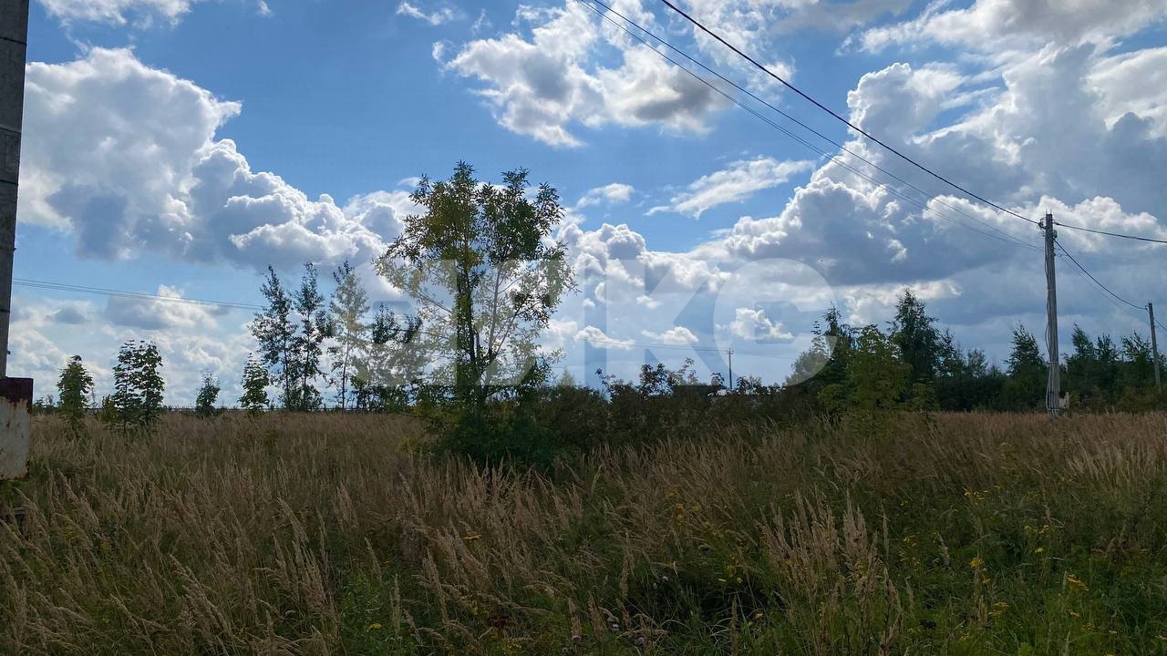 Фото №18: Участок садоводство 13 сот. - ТСН Чаплыгино, 98