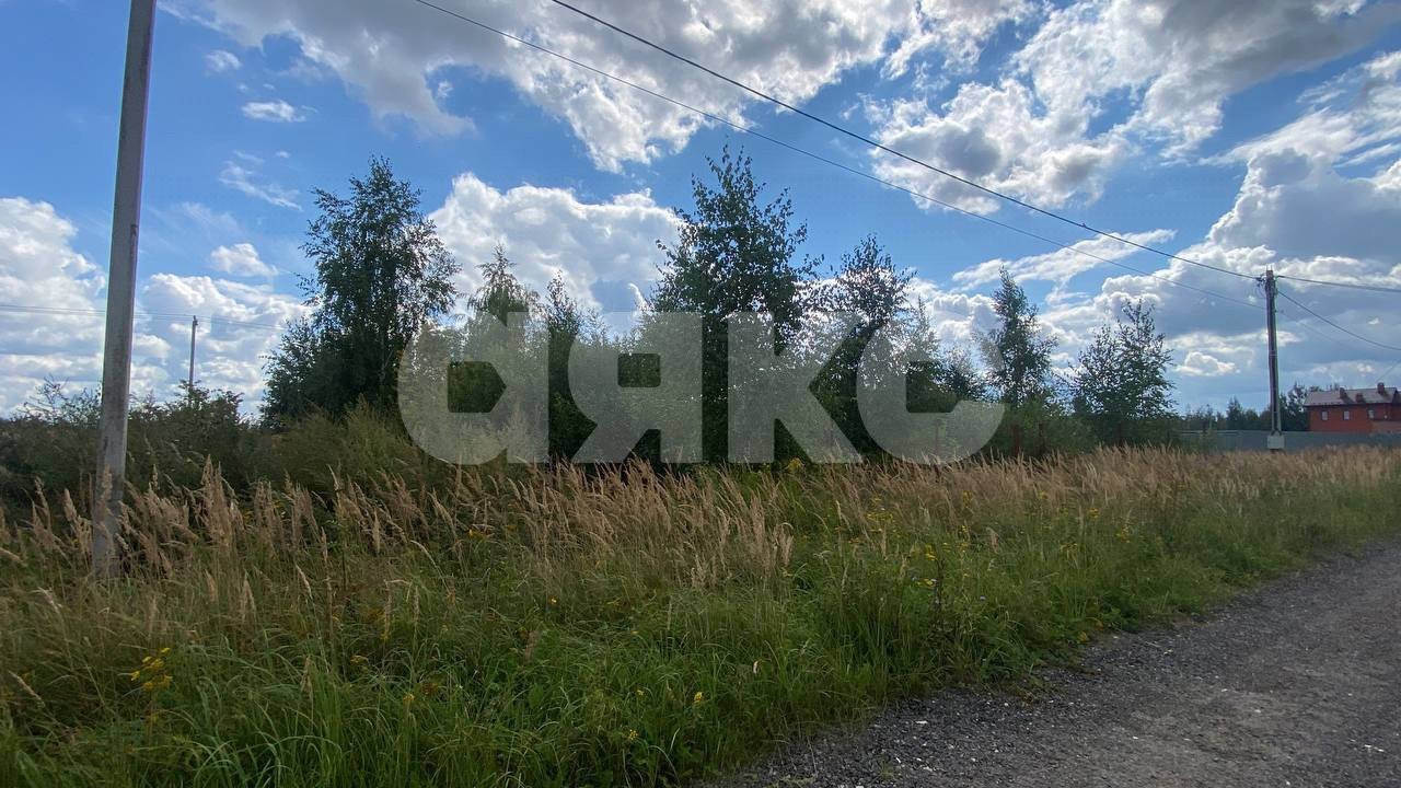 Фото №13: Участок садоводство 13 сот. - ТСН Чаплыгино, 98