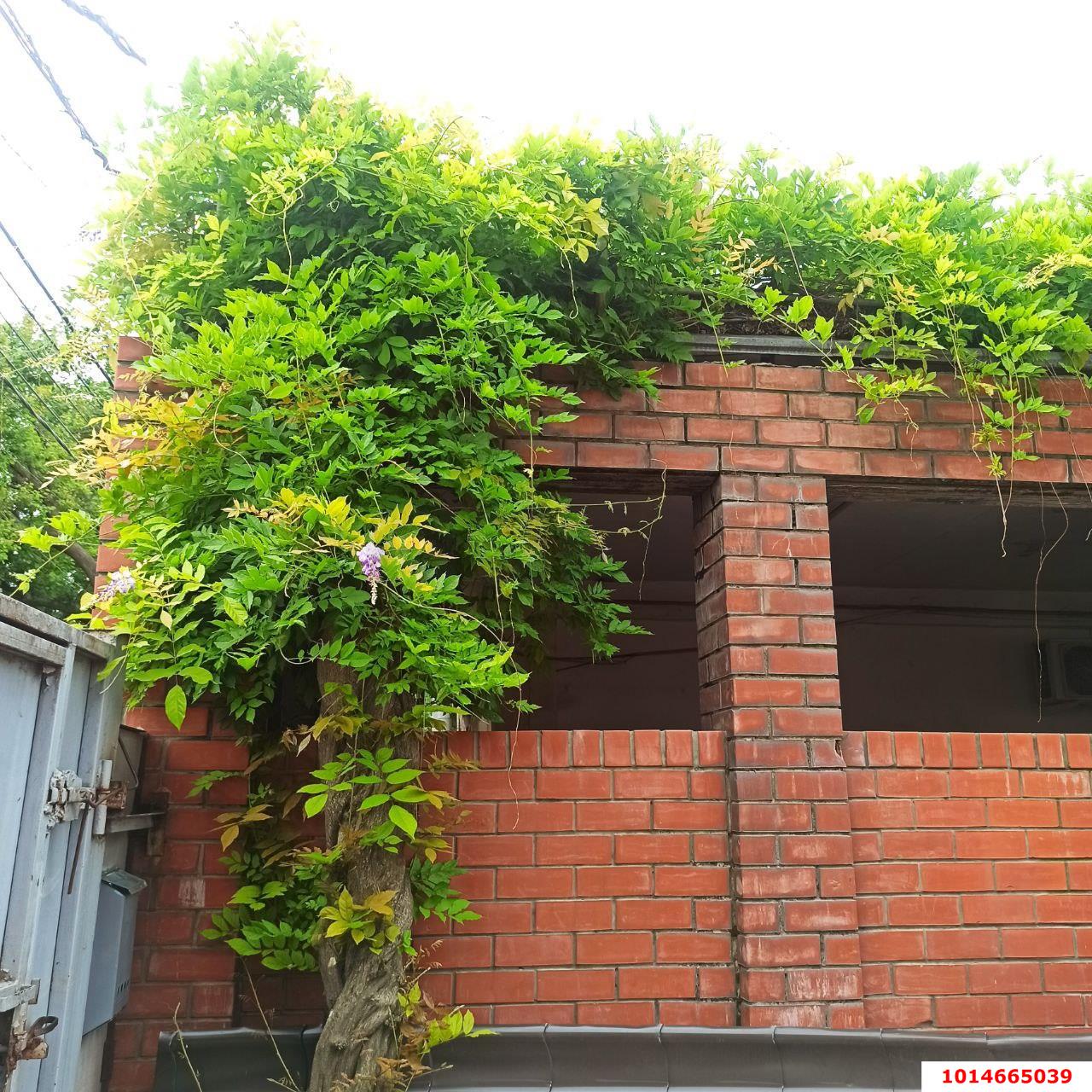 Фото №9: Дом 45 м² + 3.59 сот. - Краснодар, мкр. Западный внутригородской округ, ул. Бабушкина, 229