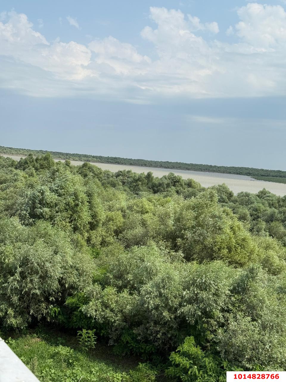 Фото №8: Дом 117 м² + 7.81 сот. - Старокорсунская, Карасунский внутригородской округ, мкр. КП Зелёный берег, пр-д 1-й Коттеджный, 1