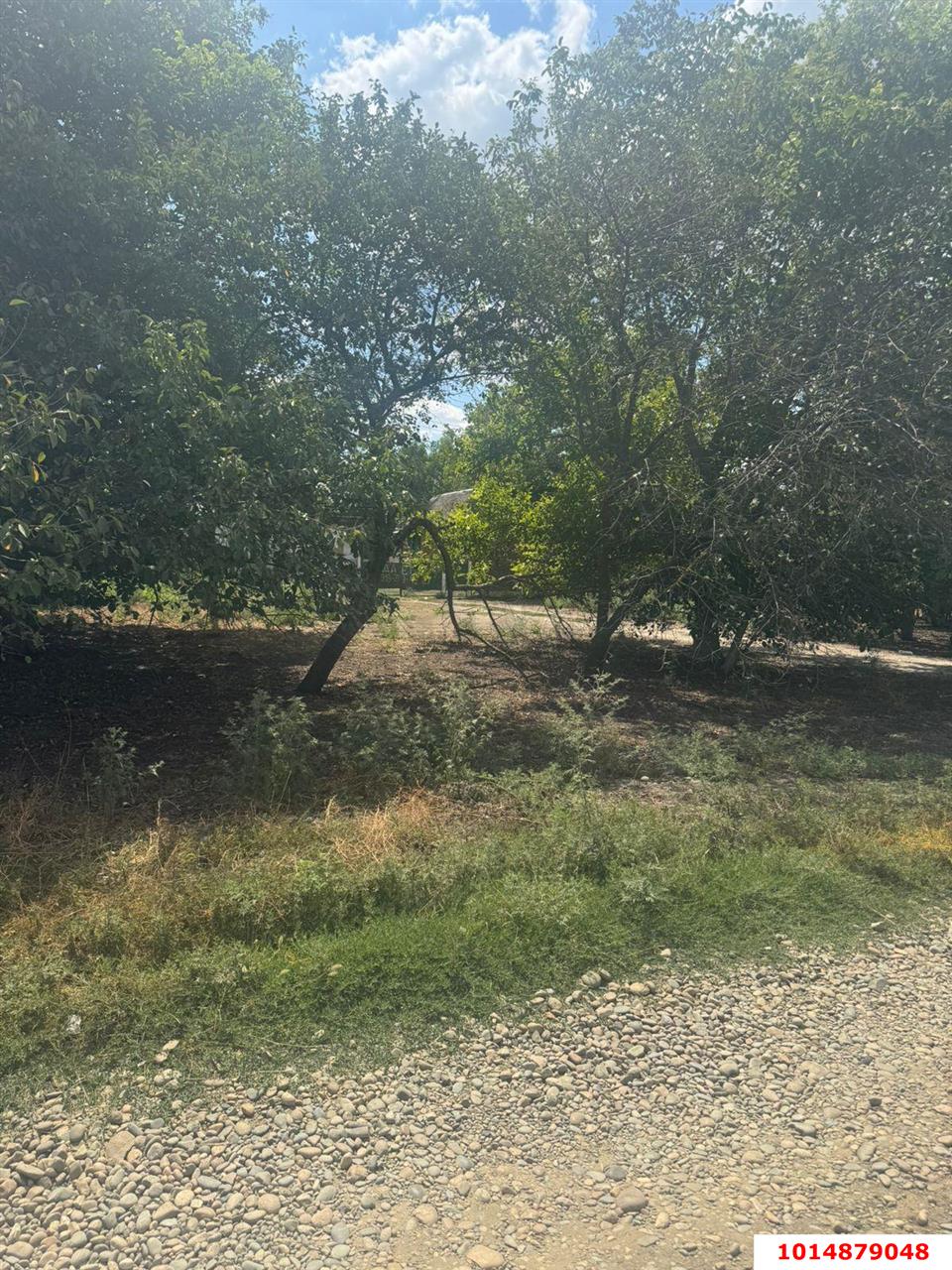 Фото №3: Личное подсобное хозяйство 11 сот. - Петропавловская, пер. Толстого