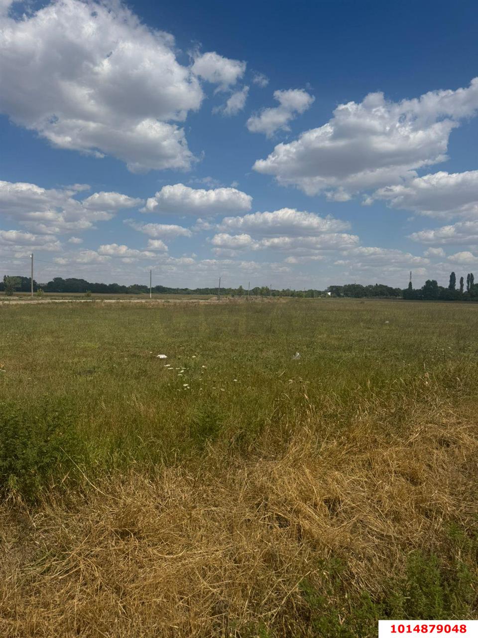 Фото №5: Личное подсобное хозяйство 11 сот. - Петропавловская, пер. Толстого