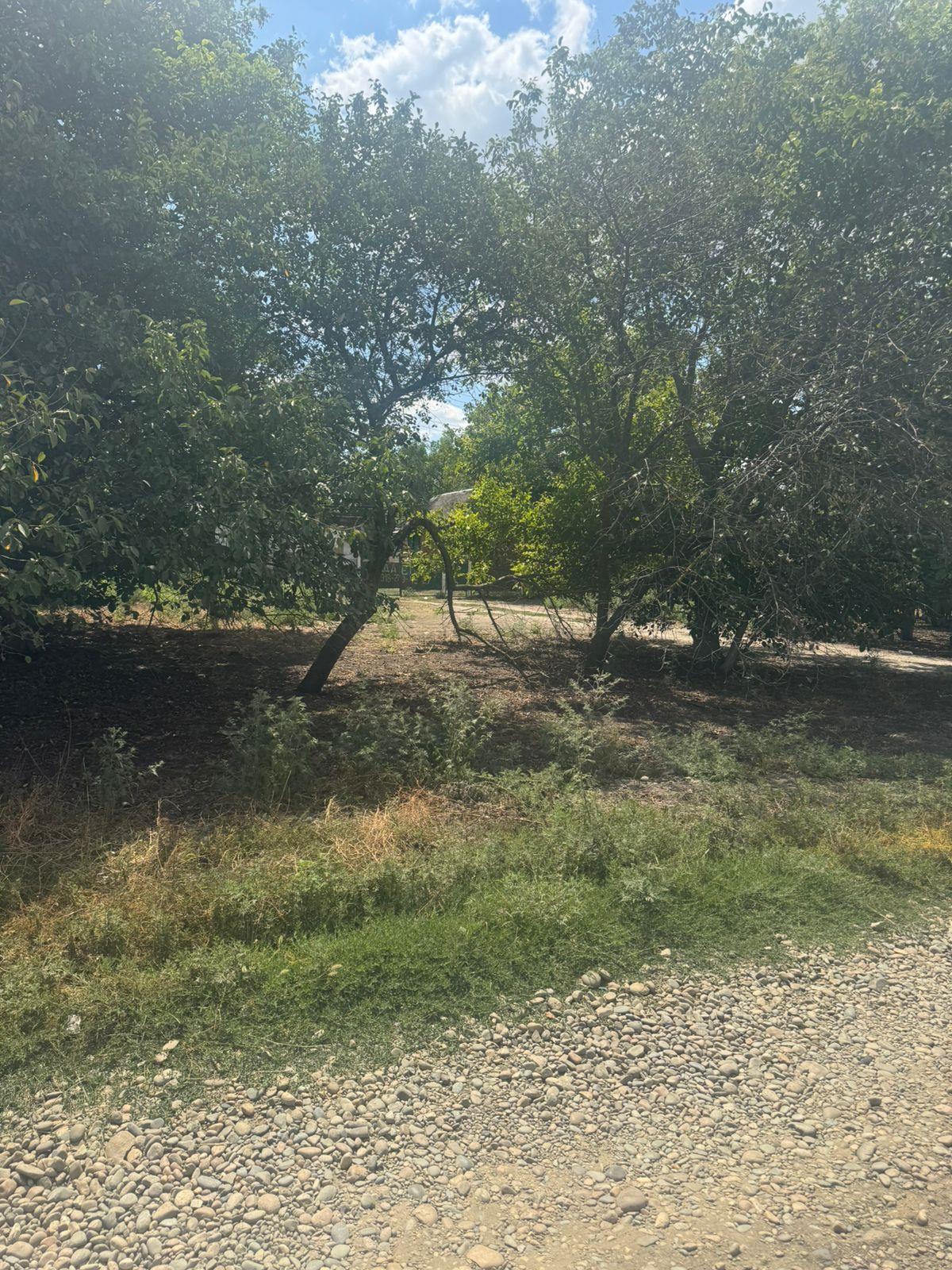 Фото №3: Коммерция 10 м² - Петропавловская, пер. Толстого