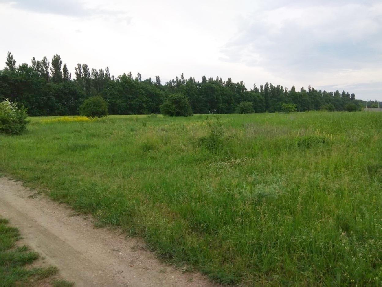 Фото №1: Коммерция 91 м² - Пчегатлукай