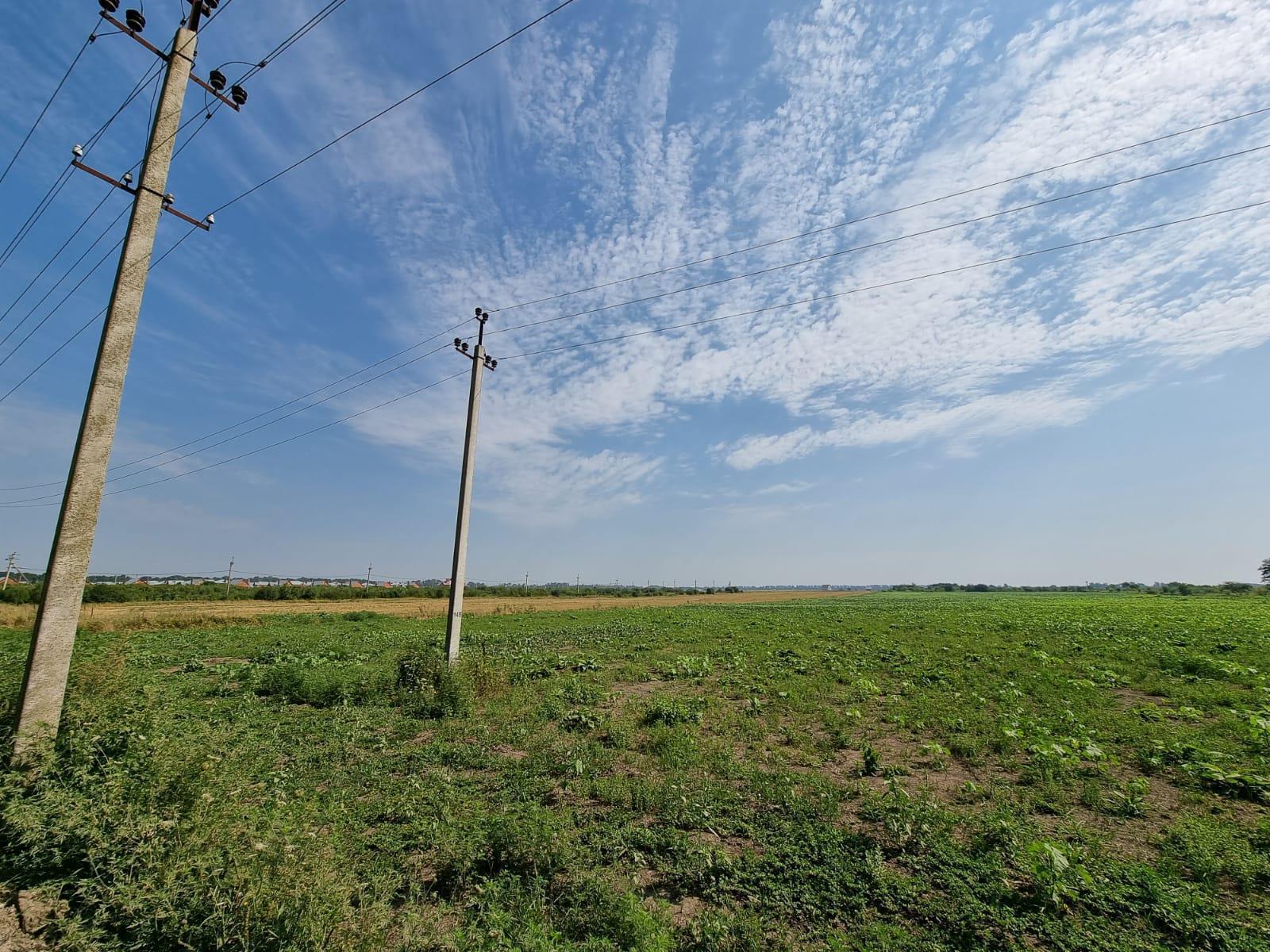 Фото №5: Коммерция 91 м² - Пчегатлукай