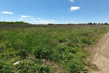 Фото №1: Коммерция 100 м² - Пчегатлукай, 