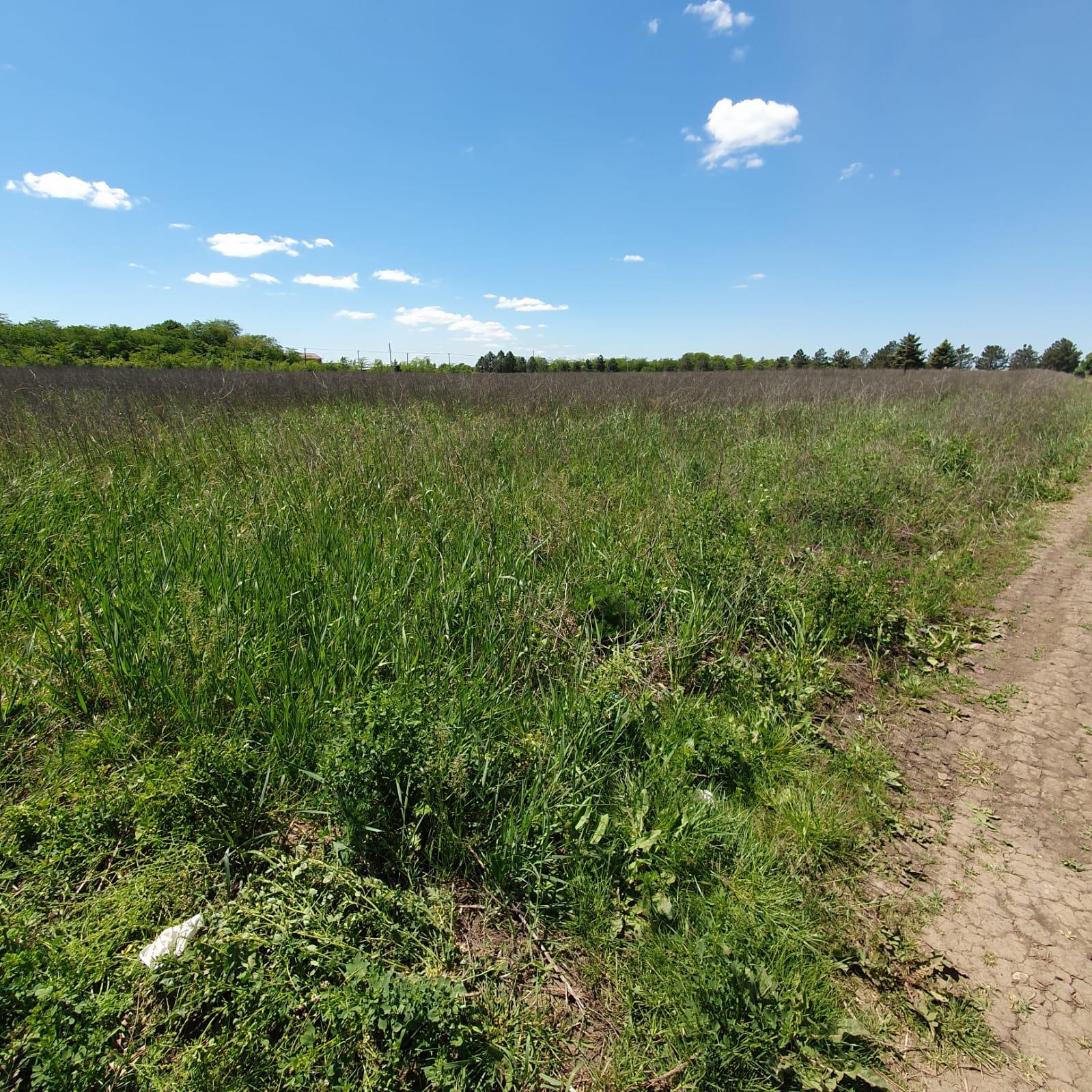 Фото №1: Коммерция 100 м² - Пчегатлукай