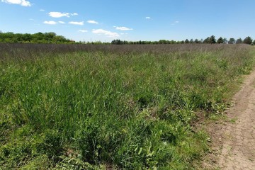 Фото №1: Коммерческая земля 100 сот. - Пчегатлукай, 