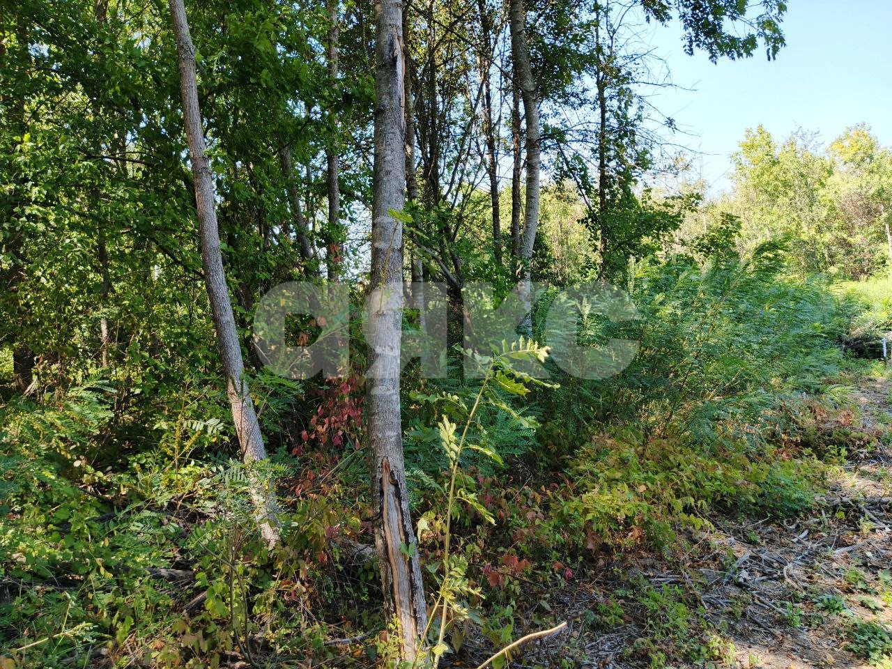 Фото №2: Земельный участок под ИЖС 10 сот. - Саратовская, 13-й квартал, 
