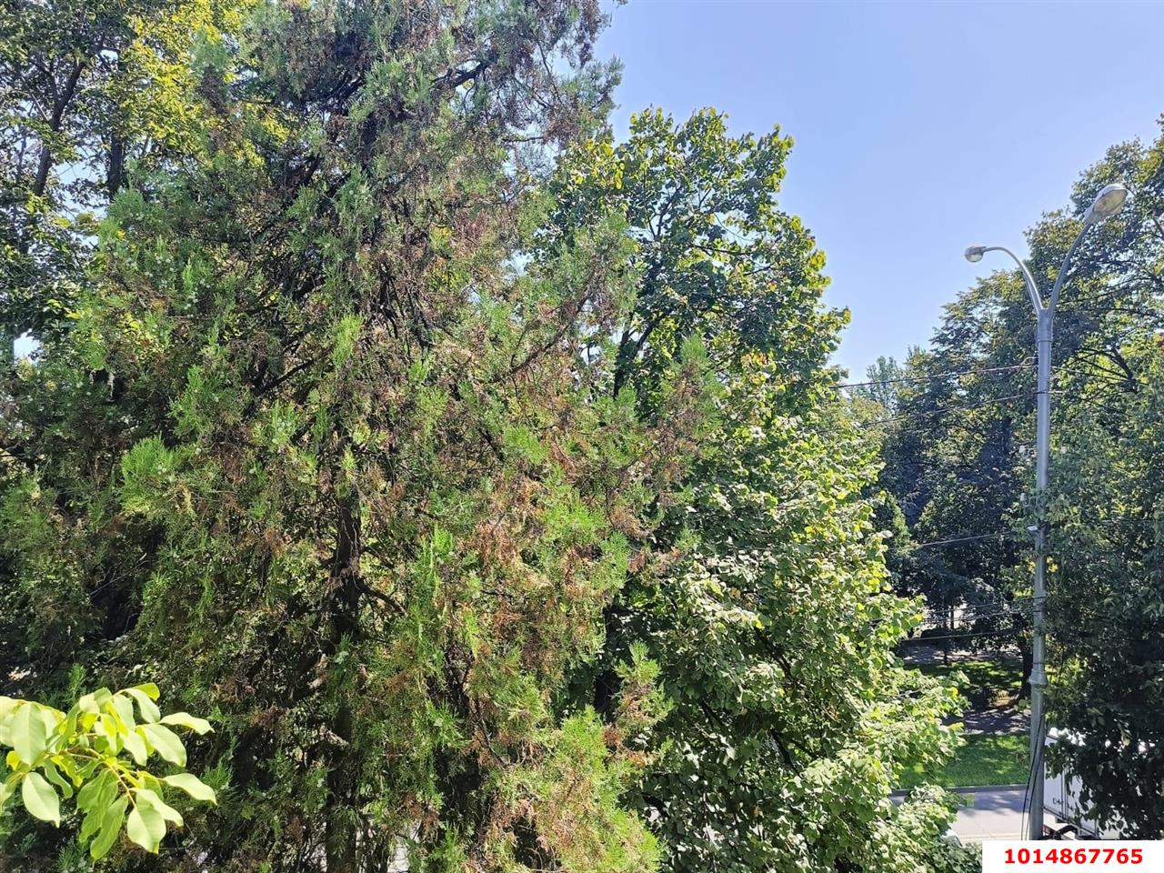 Фото №13: 3-комнатная квартира 98 м² - Краснодар, Завод Измерительных Приборов, ул. Зиповская, 1