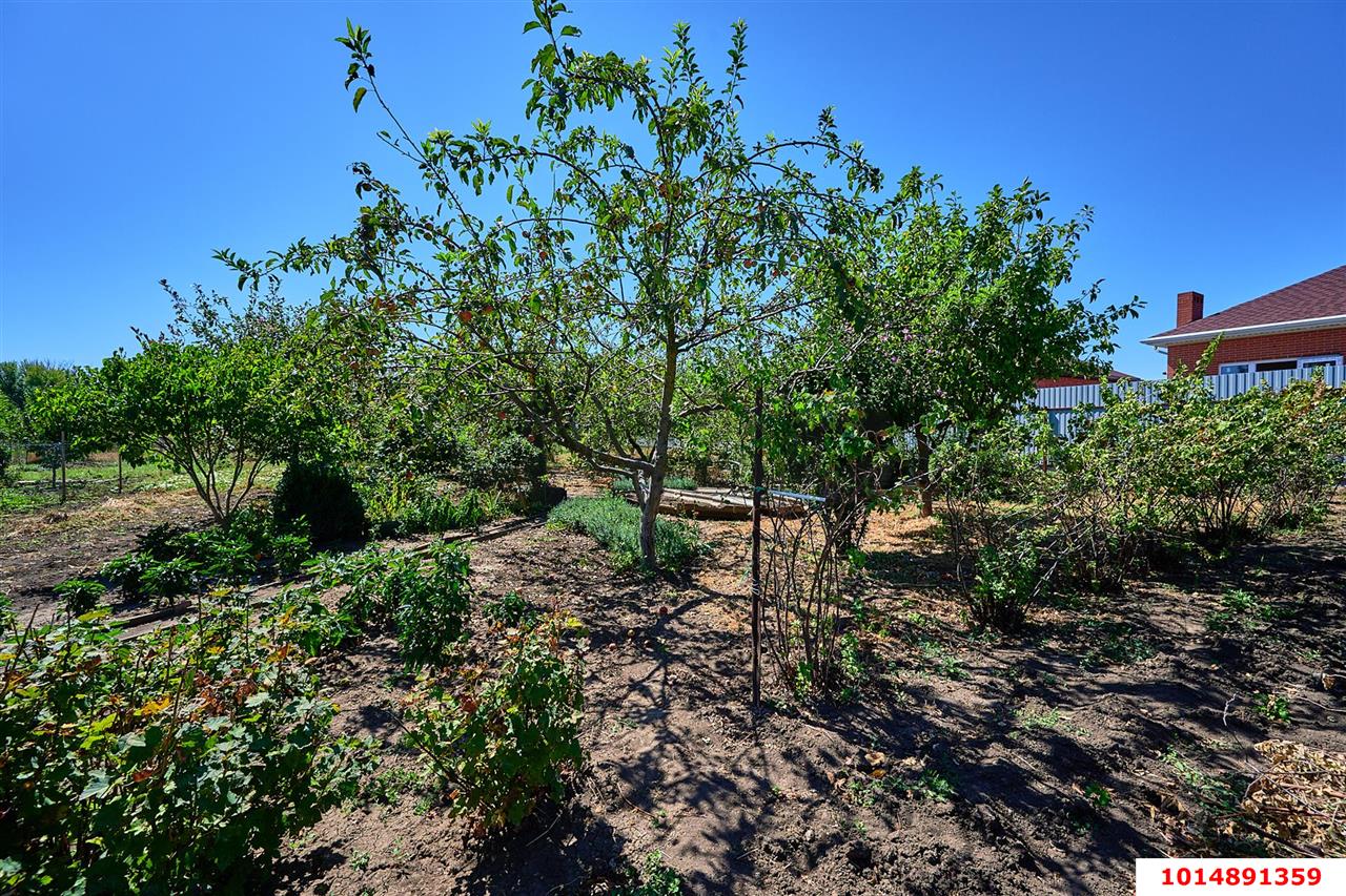 Фото №5: Дом 46 м² + 18.83 сот. - Красносельское, ул. Горького, 43