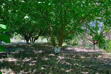 Фото №3: Дом 46 м² - Красносельское, ул. Горького, 43