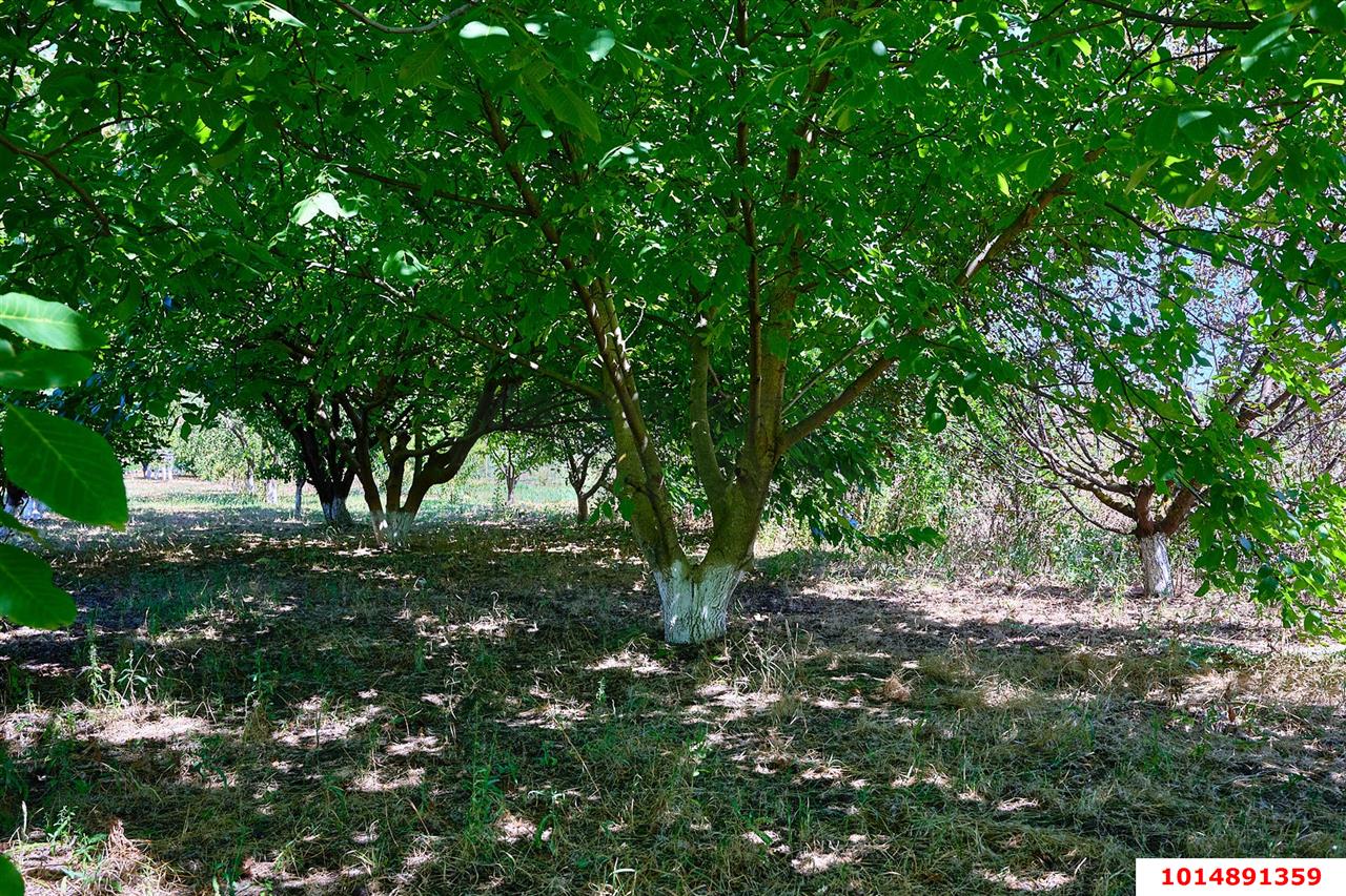 Фото №3: Дом 46 м² + 18.83 сот. - Красносельское, ул. Горького, 43