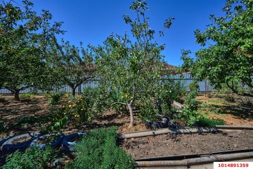 Фото №4: Дом 46 м² - Красносельское, ул. Горького, 43