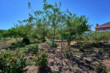 Фото №5: Дом 46 м² - Красносельское, ул. Горького, 43