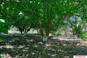 Фото №3: Дом 46 м² - Красносельское, ул. Горького, 43