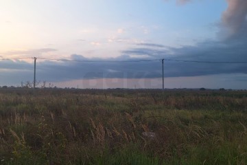 Фото №5: Участок садоводство 232.2 сот. - Суповский, ул. Ленина, 88