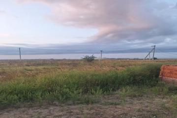 Фото №4: Земельный участок 232.2 сот. - Суповский, ул. Ленина, 88