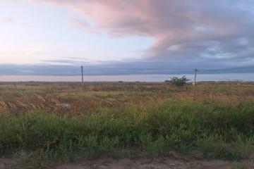 Фото №3: Земельный участок 232.2 сот. - Суповский, ул. Ленина, 88