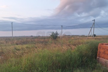 Фото №4: Участок садоводство 232.2 сот. - Суповский, ул. Ленина, 88