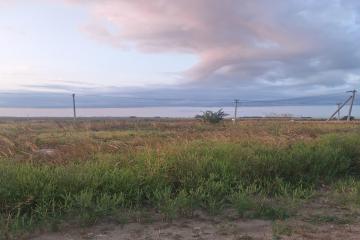 Фото №1: Земельный участок 232.2 сот. - Суповский, ул. Ленина, 88