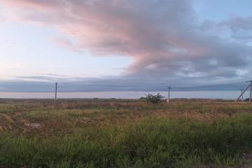 Фото №2: Земельный участок 232.2 сот. - Суповский, ул. Ленина, 88