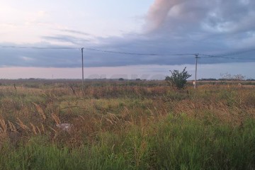 Фото №3: Участок садоводство 232.2 сот. - Суповский, ул. Ленина, 88