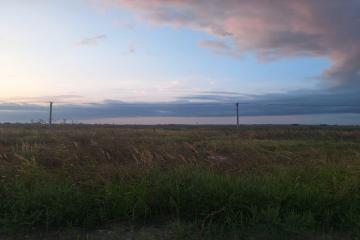 Фото №5: Земельный участок 232.2 сот. - Суповский, ул. Ленина, 88