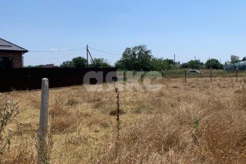 Фото №4: Личное подсобное хозяйство - Платнировская, ул. Полевая