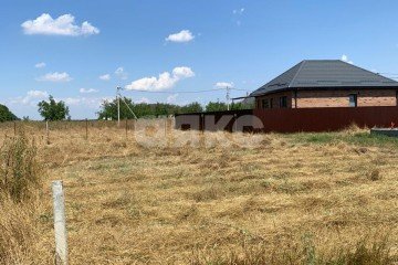Фото №2: Личное подсобное хозяйство - Платнировская, ул. Полевая