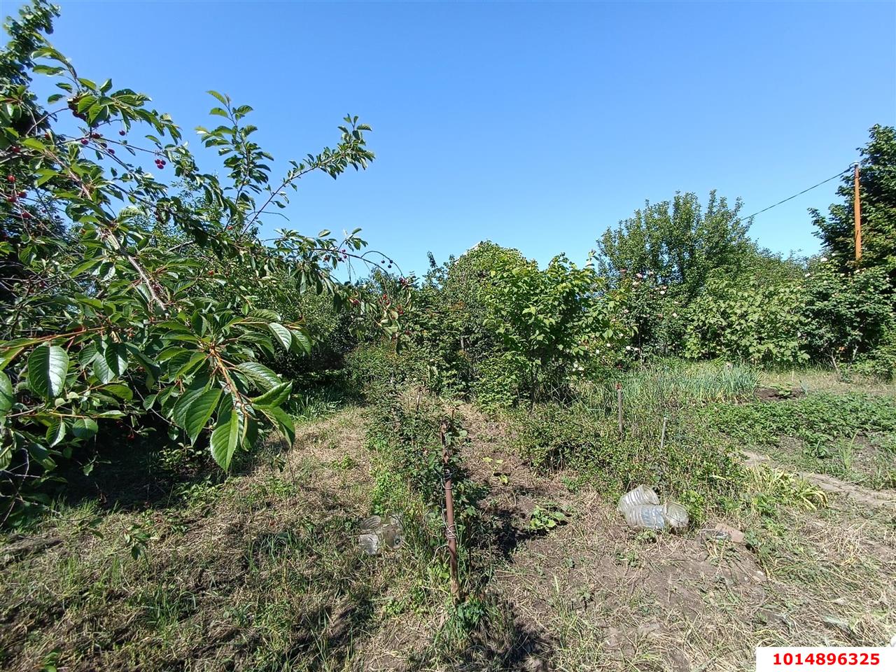 Фото №4: Земельный участок 6.17 сот. - Ленина, Карасунский внутригородской округ, снт Радуга, ул. Прохладная, 478