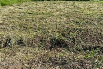 Фото №5: Земельный участок 6.17 сот. - Ленина, снт Радуга, ул. Прохладная, 478