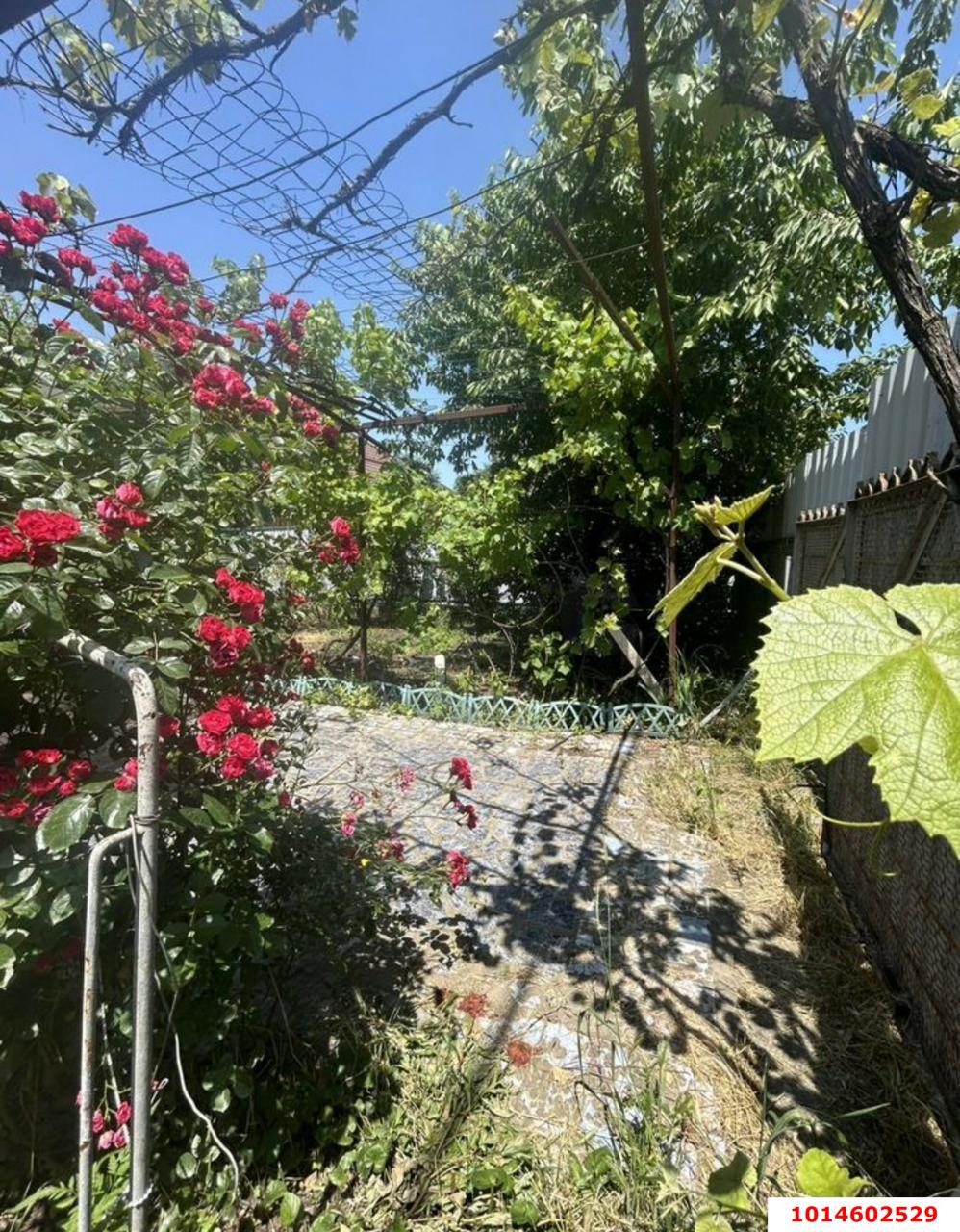 Фото №6: Дом 39 м² + 4 сот. - Знаменский, Карасунский внутригородской округ, мкр. СТ Чайка, ул. Сливовая, 14