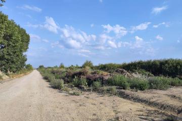 Фото №1: Коммерция 287 м² - Дружный, ул. Крестьянская