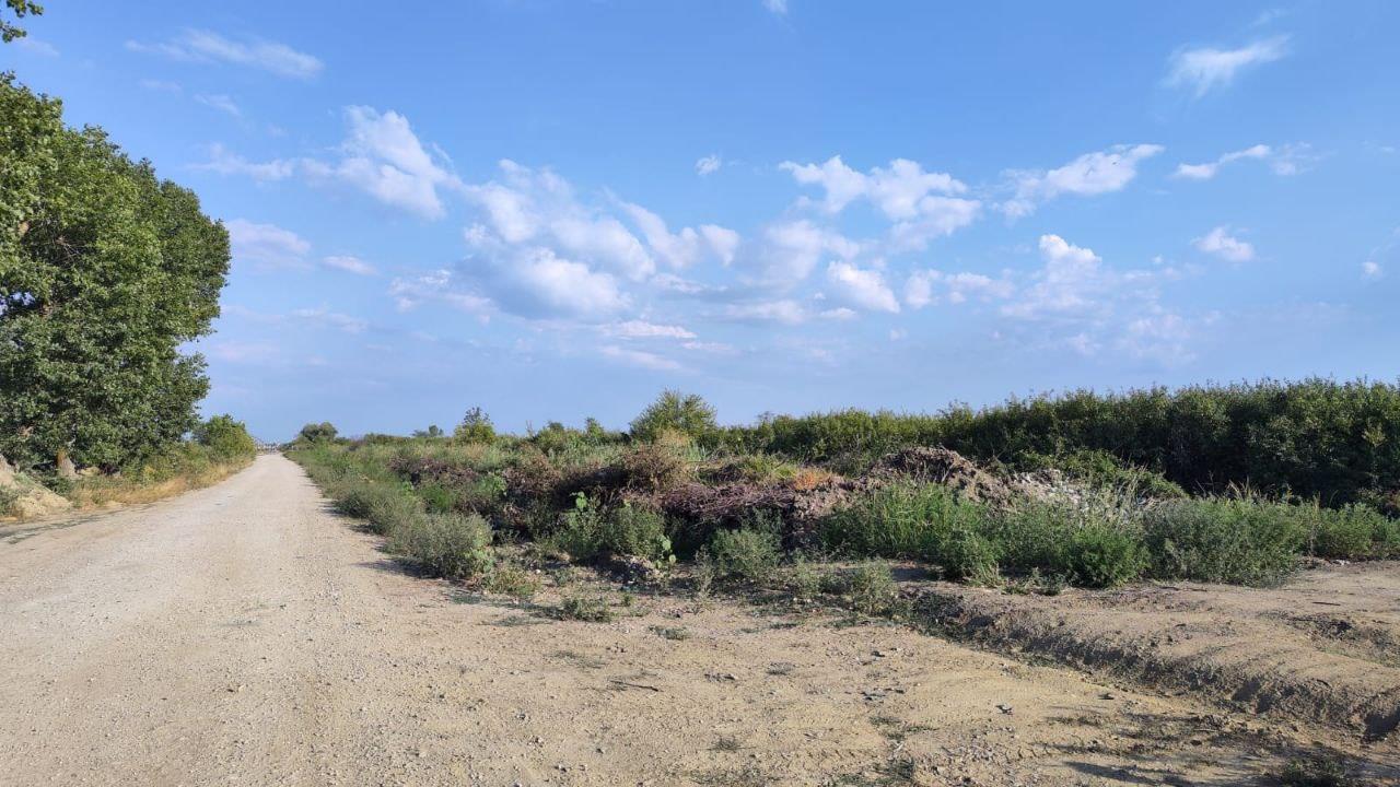 Фото №1: Коммерция 287 м² - Дружный, ул. Крестьянская