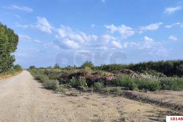 Фото №1: Коммерческая земля 287 сот. - Дружный, ул. Крестьянская