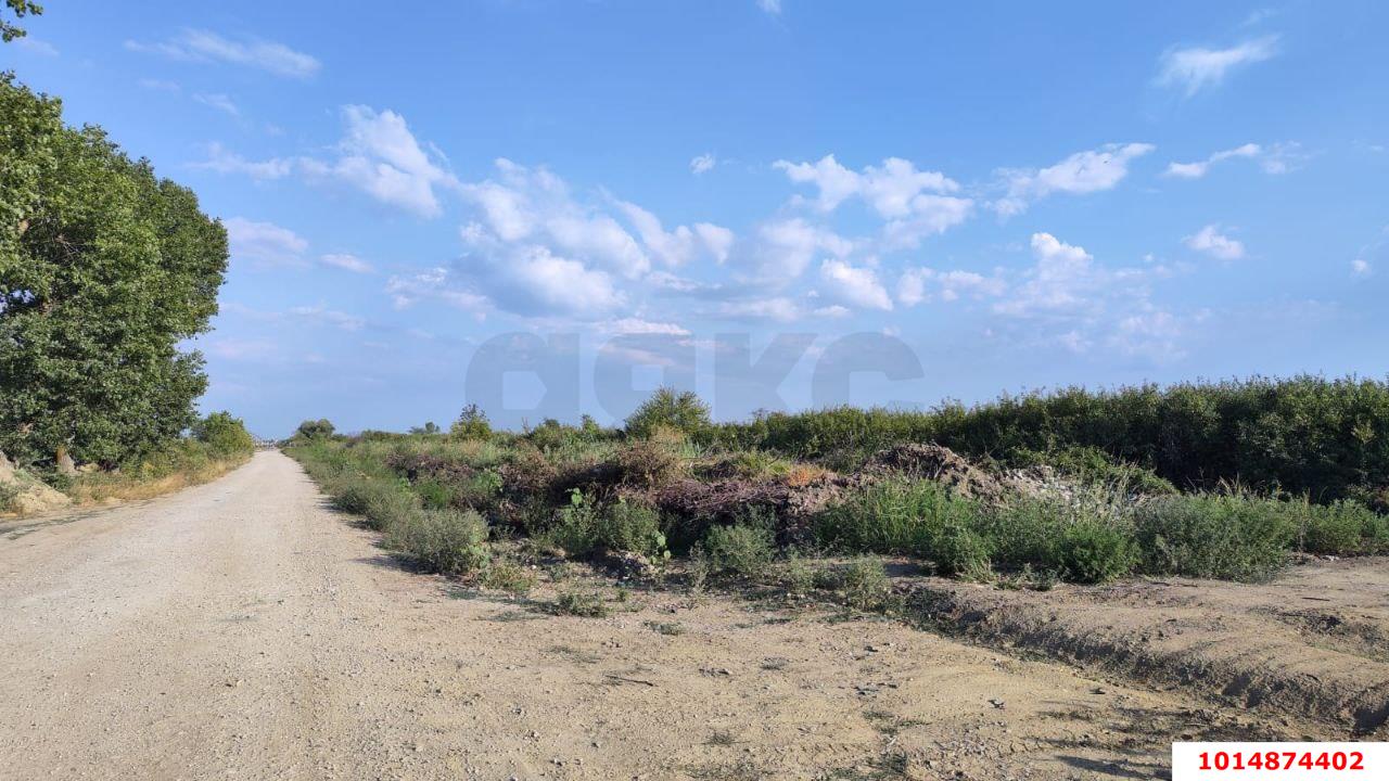 Фото №1: Коммерческая земля 287 сот. - Дружный, ул. Крестьянская