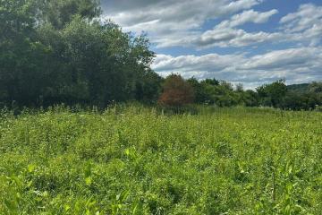 Фото №2: Коммерция 25 м² - Краснодарский край Лабинский район