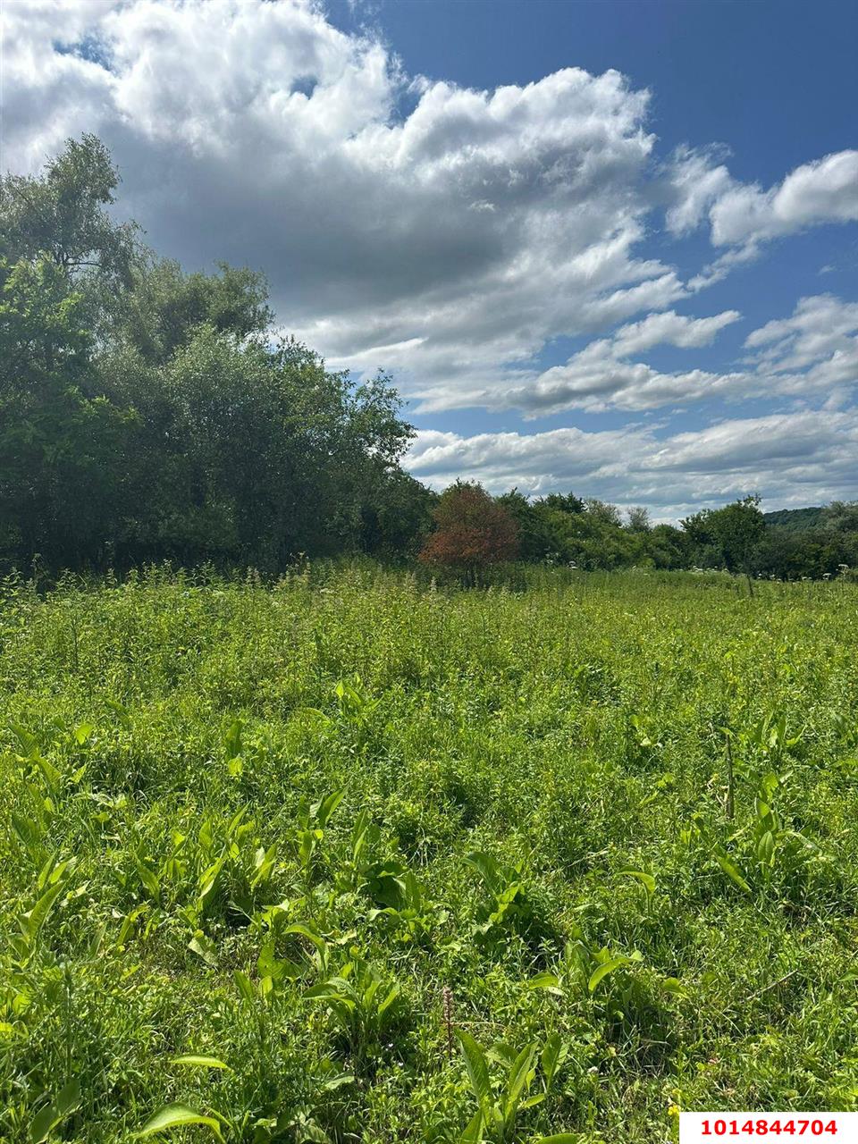 Фото №2: Коммерция 25 м² - Краснодарский край Лабинский район