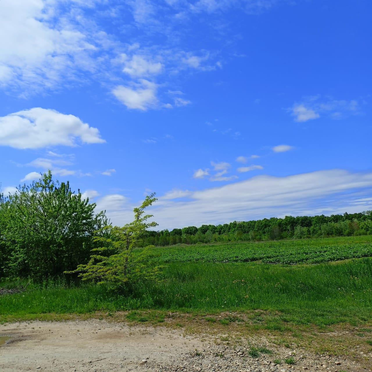 Фото №1: Коммерция 220 м² - Краснодарский край Апшеронский район