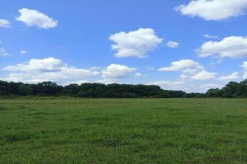 Фото №5: Коммерция 220 м² - Краснодарский край Апшеронский район