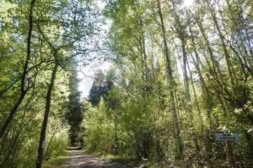 Фото №5: Участок садоводство 9.7 сот. - Агой, ул. Горная