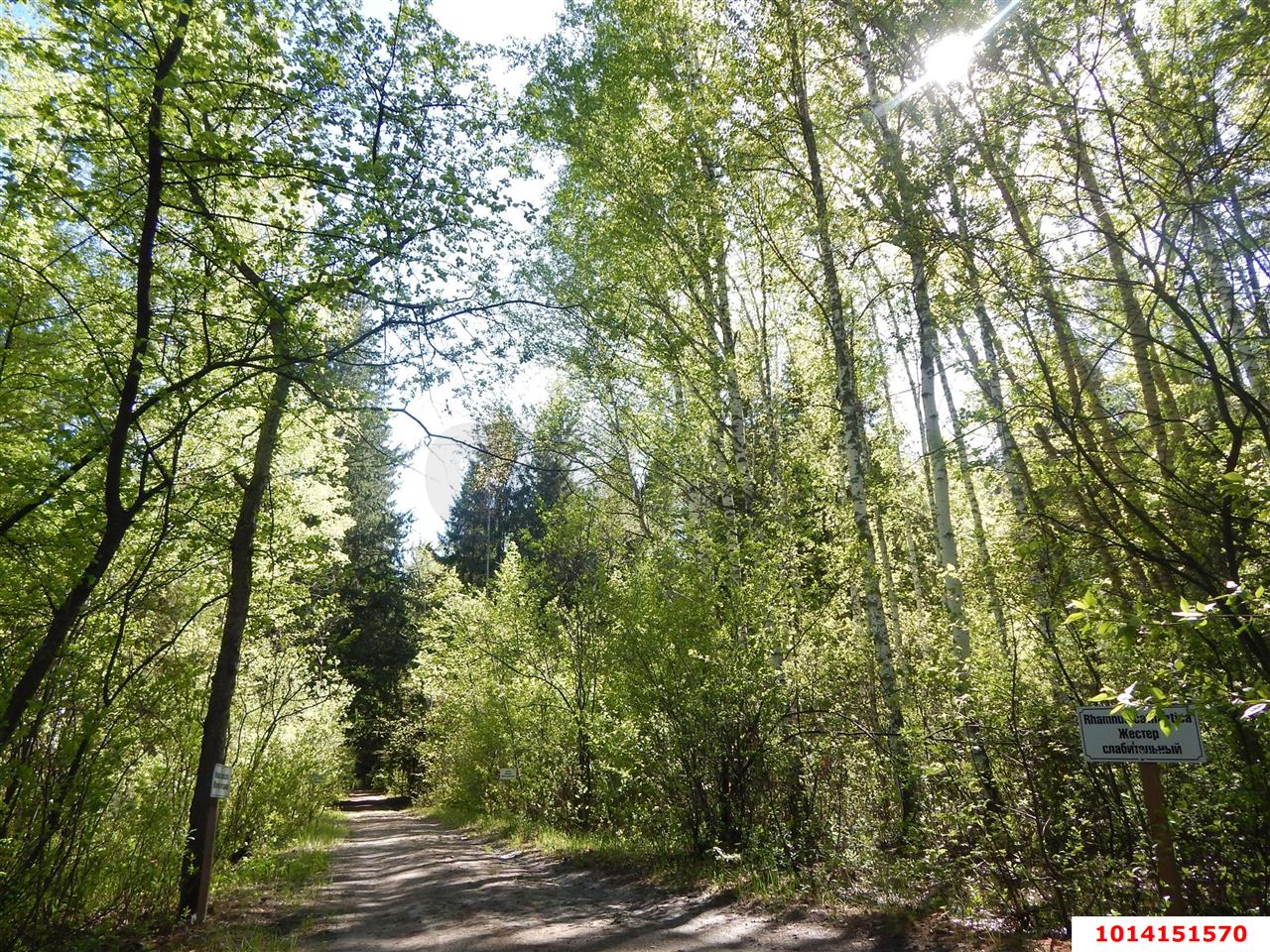 Фото №5: Участок садоводство 9.7 сот. - Агой, ул. Горная