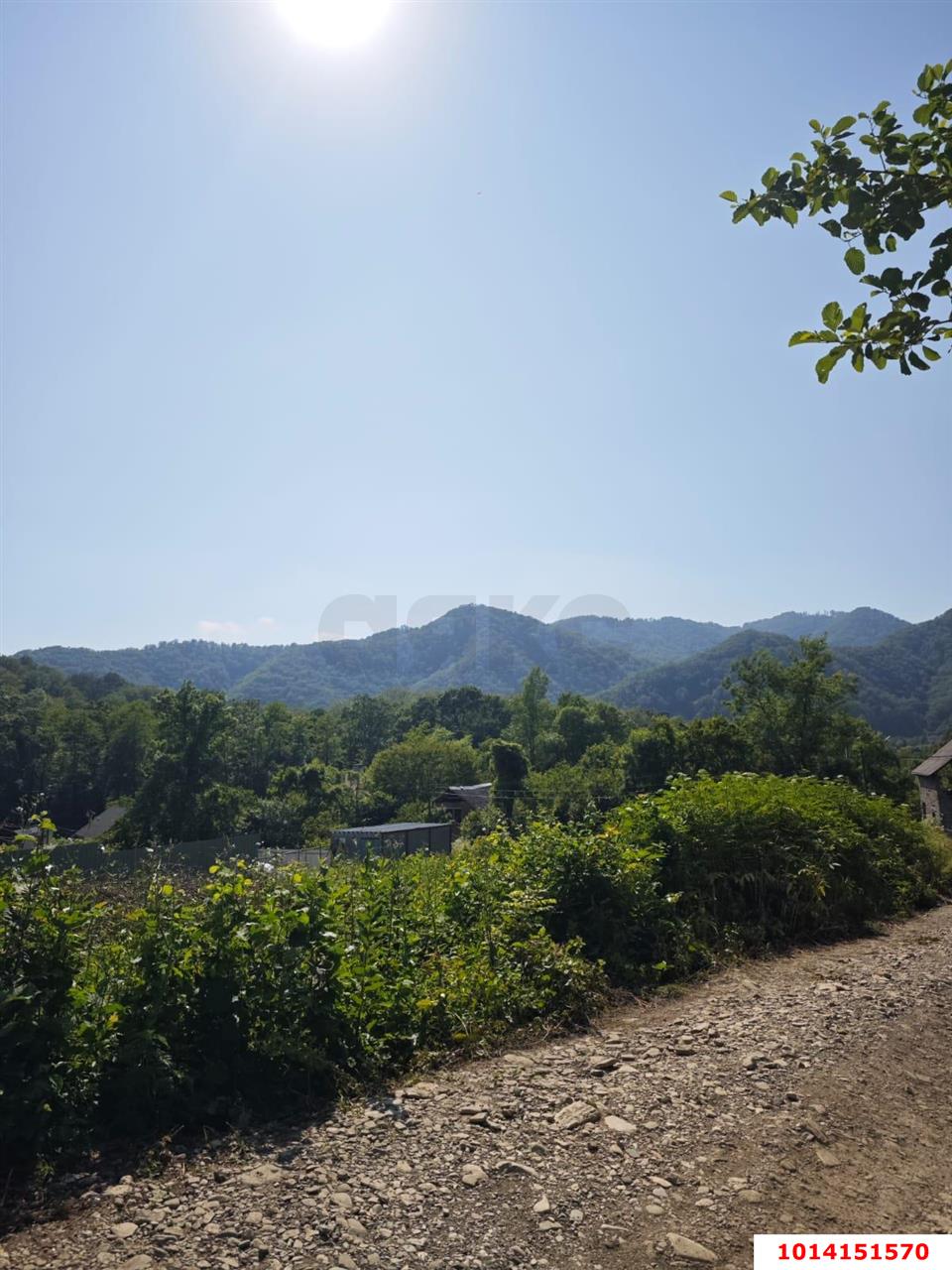 Фото №9: Земельный участок 9.7 сот. - Агой, ул. Горная