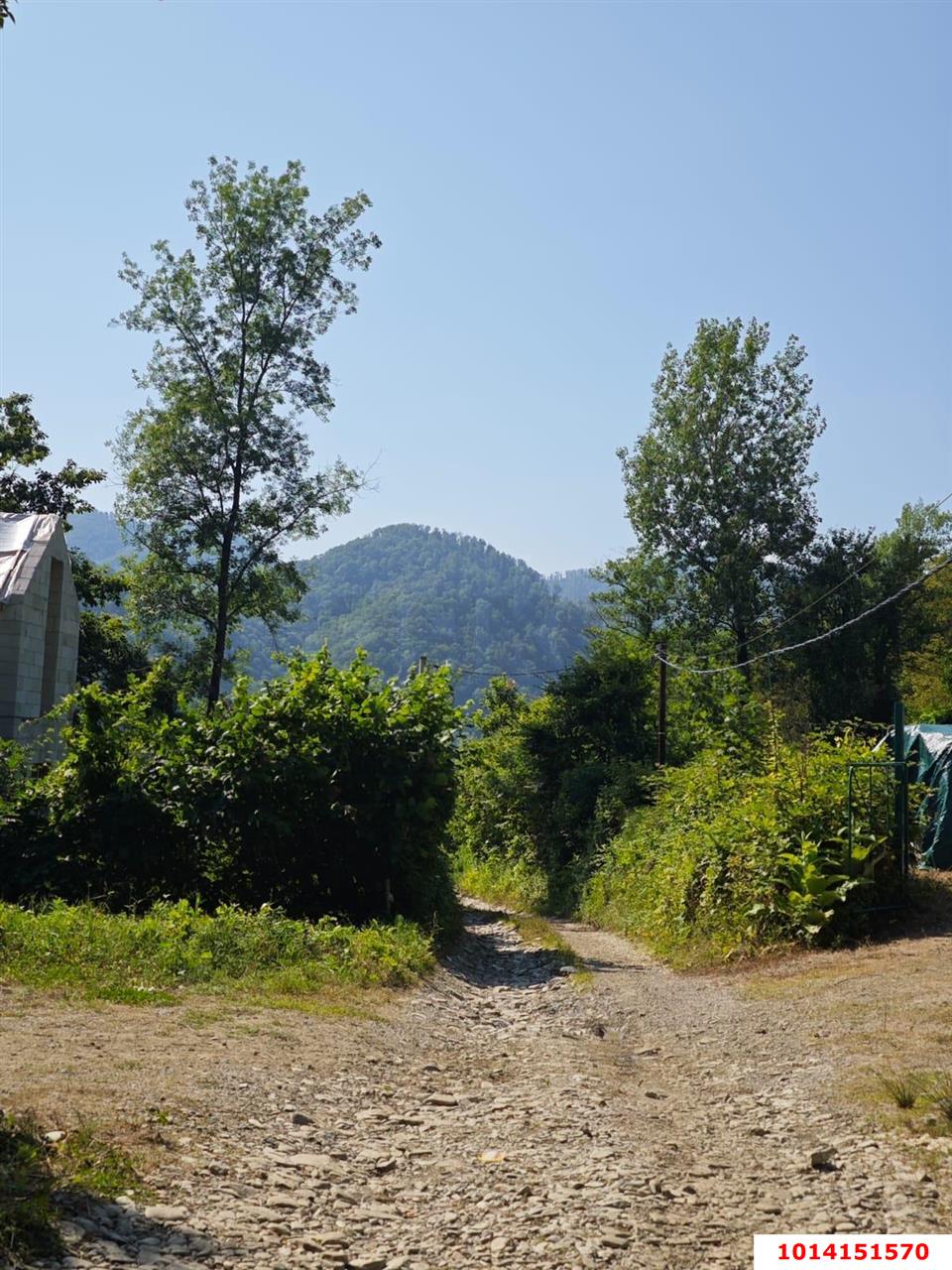 Фото №10: Земельный участок 9.7 сот. - Агой, ул. Горная