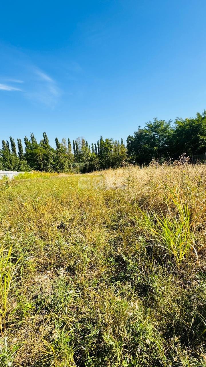 Фото №7: Земельный участок под ИЖС 23.4 сот. - Левченко, ул. Центральная