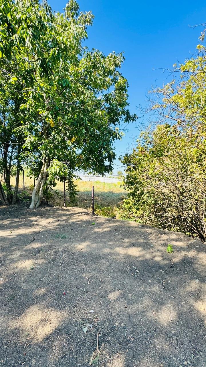 Фото №3: Земельный участок под ИЖС 23.4 сот. - Левченко, ул. Центральная