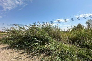 Фото №1: Земельный участок под ИЖС 5.23 сот. - Хомуты, 