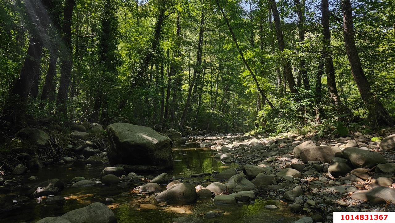 Фото №15: Дом 96 м² + 10.31 сот. - Планческая Щель, ул. Заречная, 14